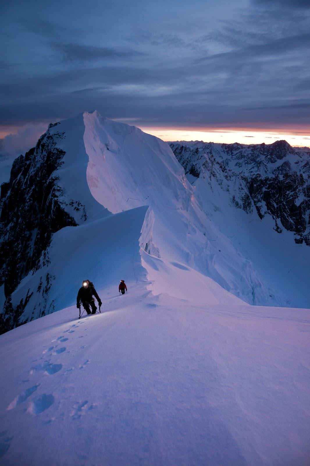 Crossing crevassed terrain on the Fox Glacier