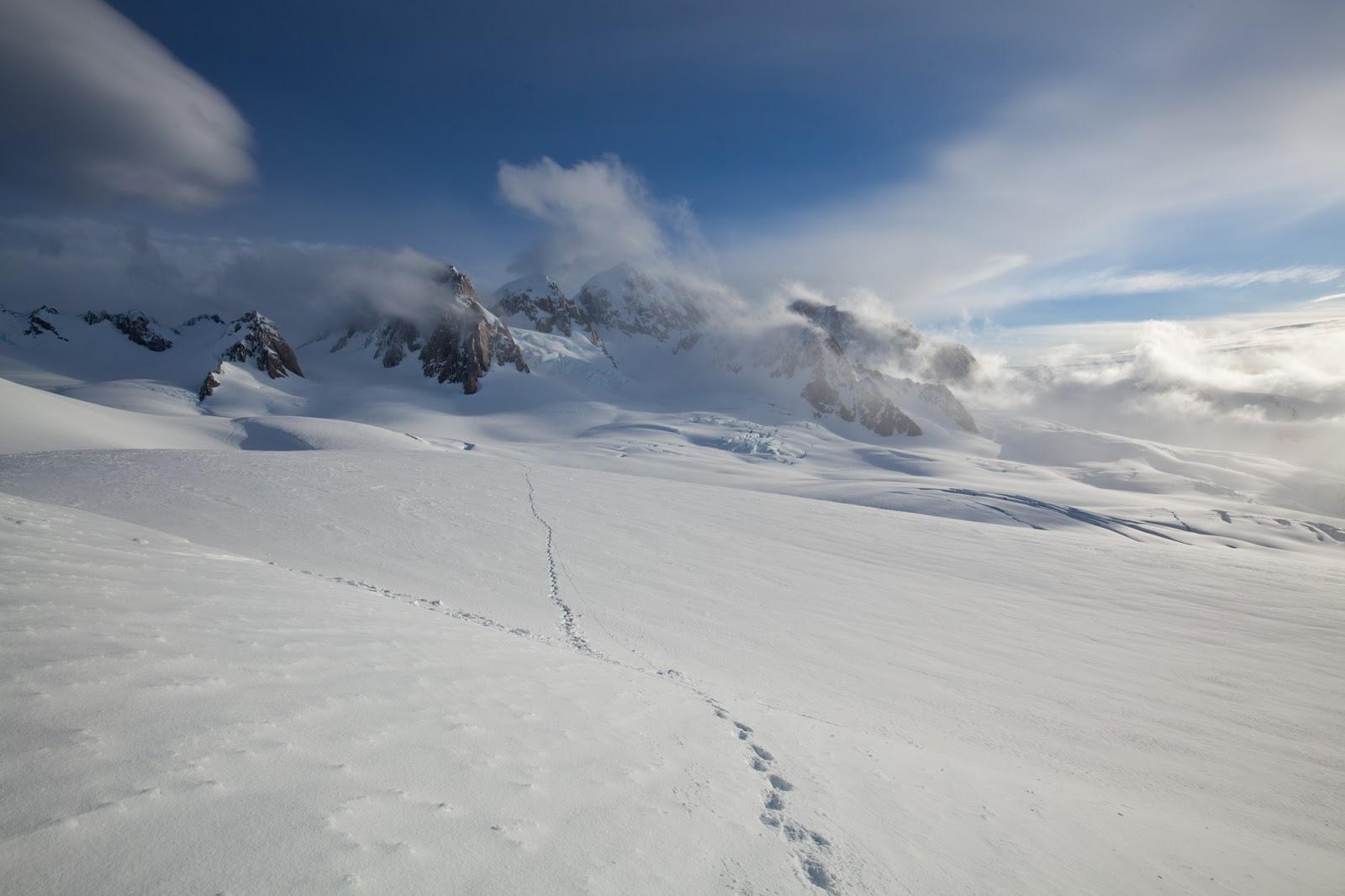 Alpine views from the North Shoulder of Mt Tasman