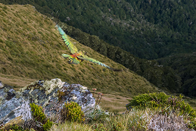 Trip photo
