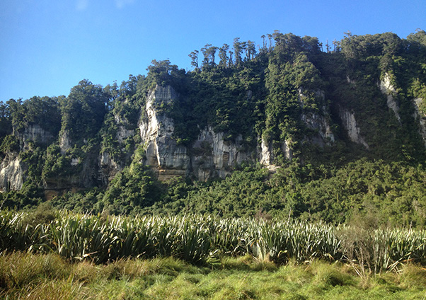 Bullock Creek from the road