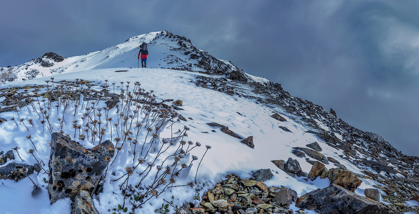 On top of Little Rintoul (1,643m), with the main summit at distant left