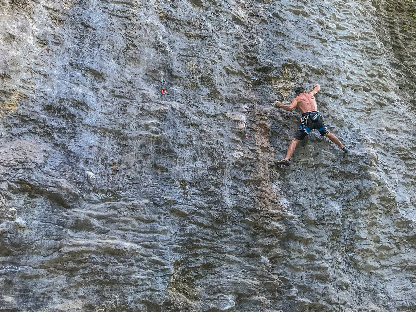 Battle of the Weekend Whipper