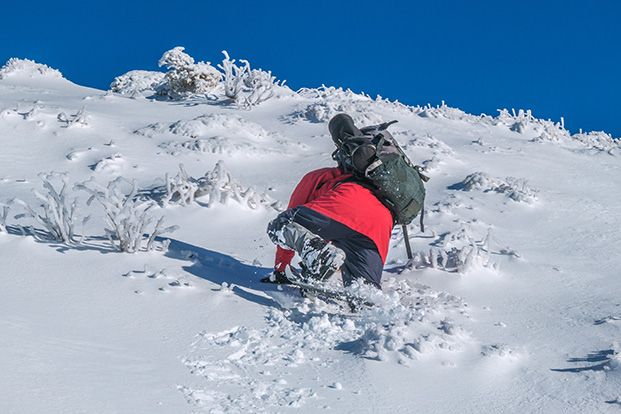 Shaun, staunch in shorts, as we reach Jumbo Hut